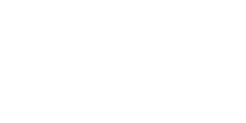 NVT team